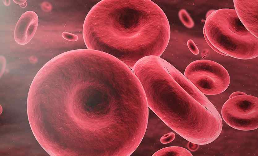Blood cells