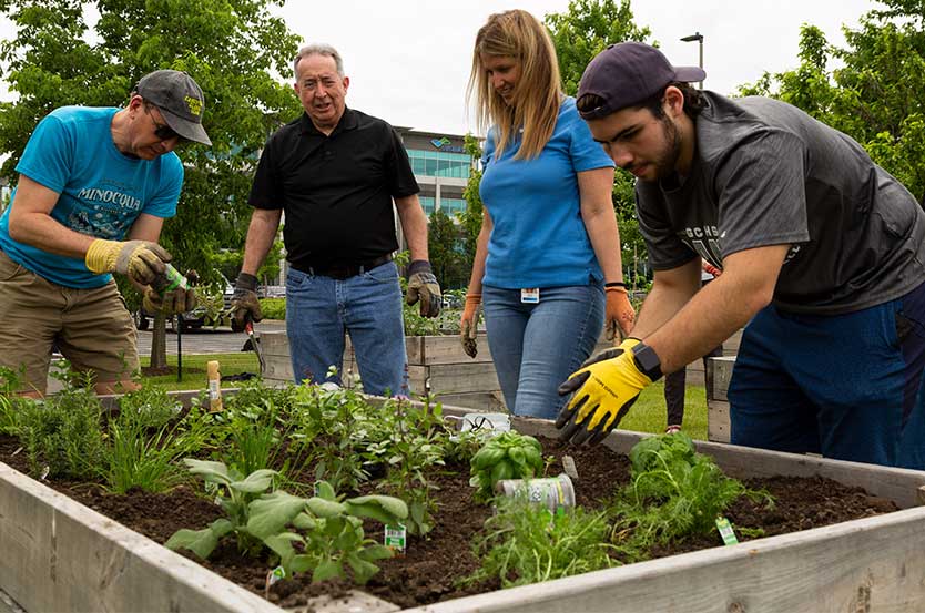 CorporateSocialResponsibility_Greenteam2_834x553_V1