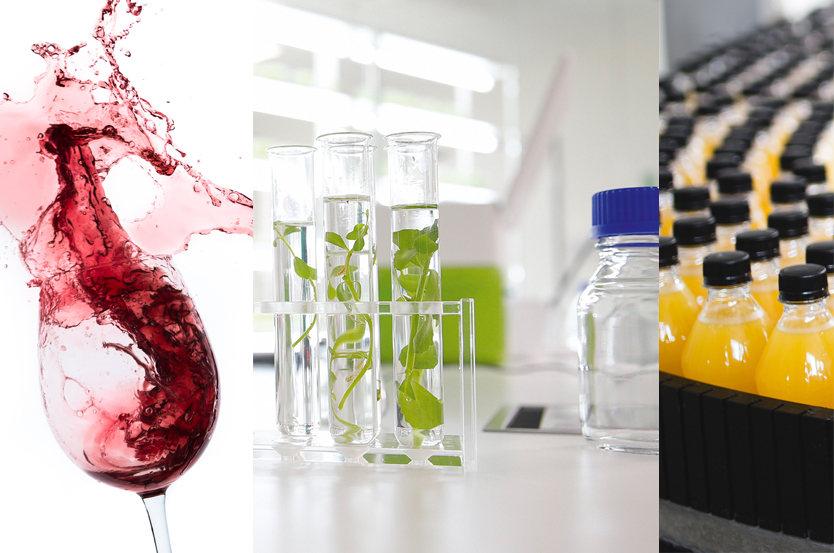 FlowCytometryApplications_Wine-Plants_834x553_V1