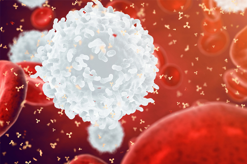 Hemostasis_BloodCells_834x553_V1 hemostasis